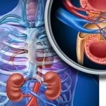 Foto de Dr. Emilia Cantoral Farfan, Nefrología en Ciudad de México