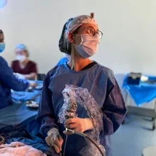 Foto de Dr. Stefania Medellín Lacedelli, Otorrinolaringología en Ciudad de México