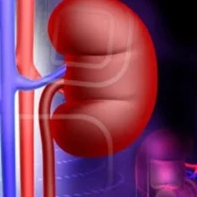 Foto de Dr. Gloria Rodas Gallegos, Nefrología en Tuxtla Gutiérrez