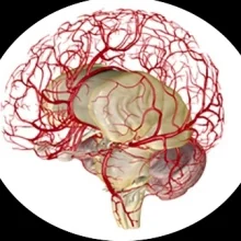 Foto de Dr. Manuel Sanchez 2, Neurocirugía en Saltillo