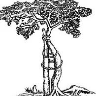 Foto de Dr. Carlos Iván Andrade Aguilar, Ortopedia y Traumatología en León