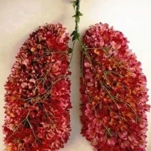 Foto de Dr. Lorena Rebeca Arce Negrete, Medicina Interna en León