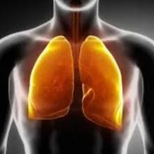 Foto de Dr. Hugo Arancibia Vargas, Medicina Interna en Acapulco