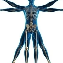 Foto de Dr. Oscar Gatica Morales, Ortopedia y Traumatología en Acapulco