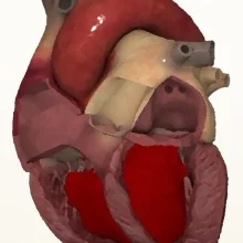 Foto de Dr. Luis Lasso Rodríguez, Medicina Interna en Guadalajara