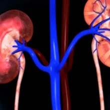 Foto de Dr. Francisco Gerardo Alfaro Abundiz, Medicina Interna en San Luis Potosí