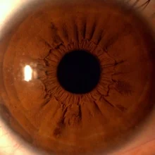 Foto de Dr. Guadalupe Márquez García, Oftalmología en Los Mochis