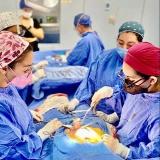 Foto de Dr. Elizabeth Espinoza, Cirugía General en Hermosillo