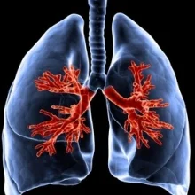 Foto de Dr. Daniel Cortes Medina 3, Neumología en Mérida