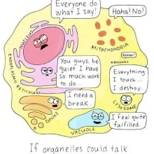Foto de Dr. Erick Adrian Zamora Tehozol, Reumatología en Mérida